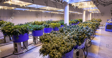 Equipment Cost Estimate